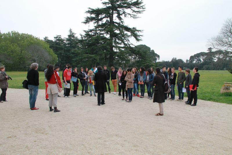 L’atelier image dessinée : déroulement et oeuvres !